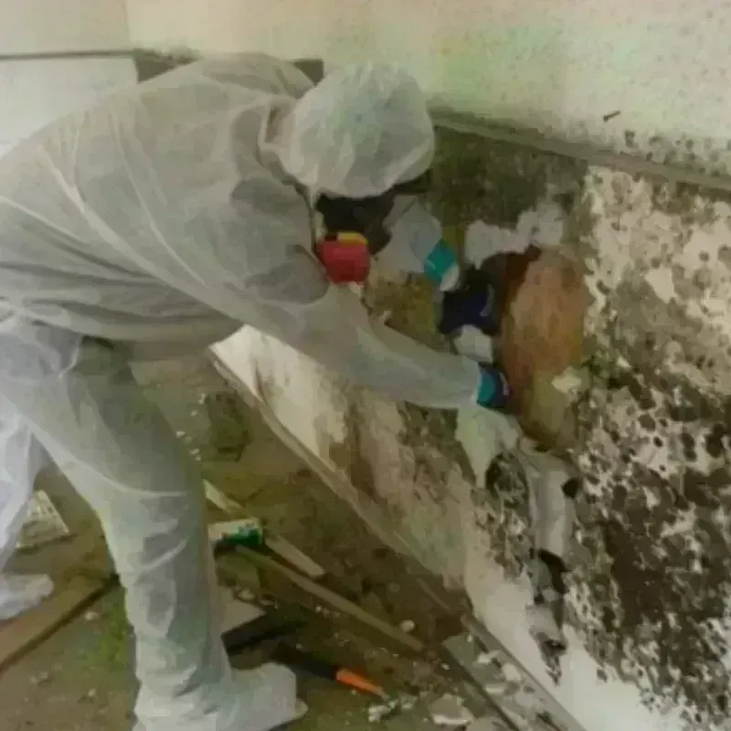 Mold Remediation and Removal in Tappan, NY